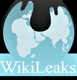 Lessons from WikiLeaks